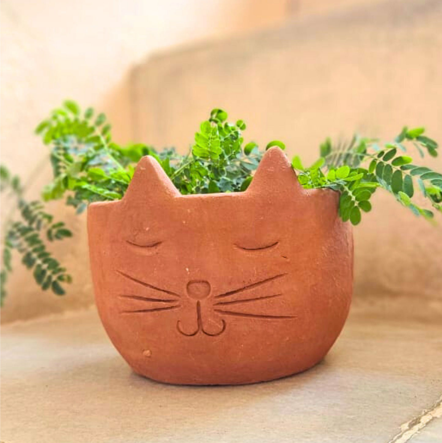 Cat-shaped pot