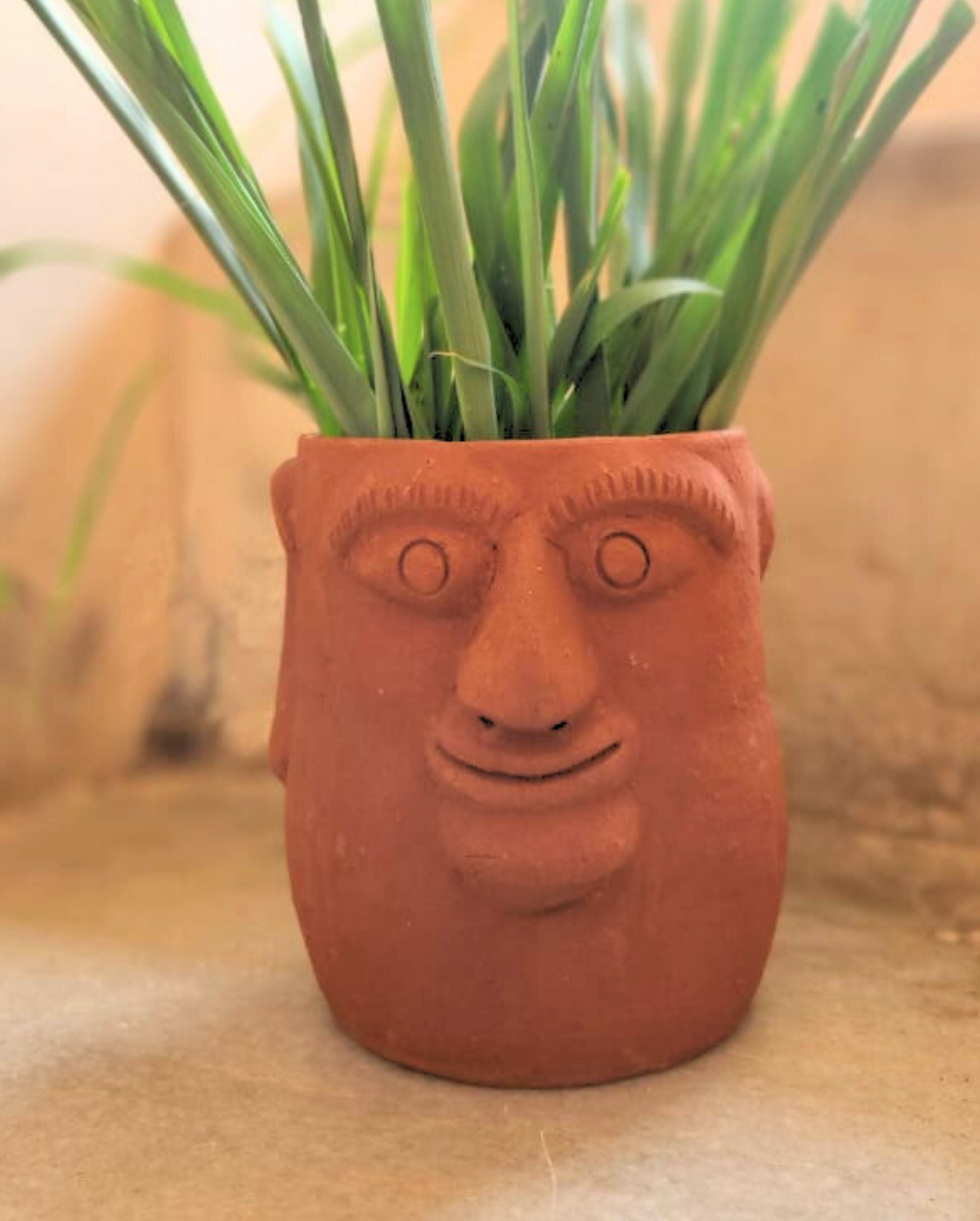 Cartoon face pot
