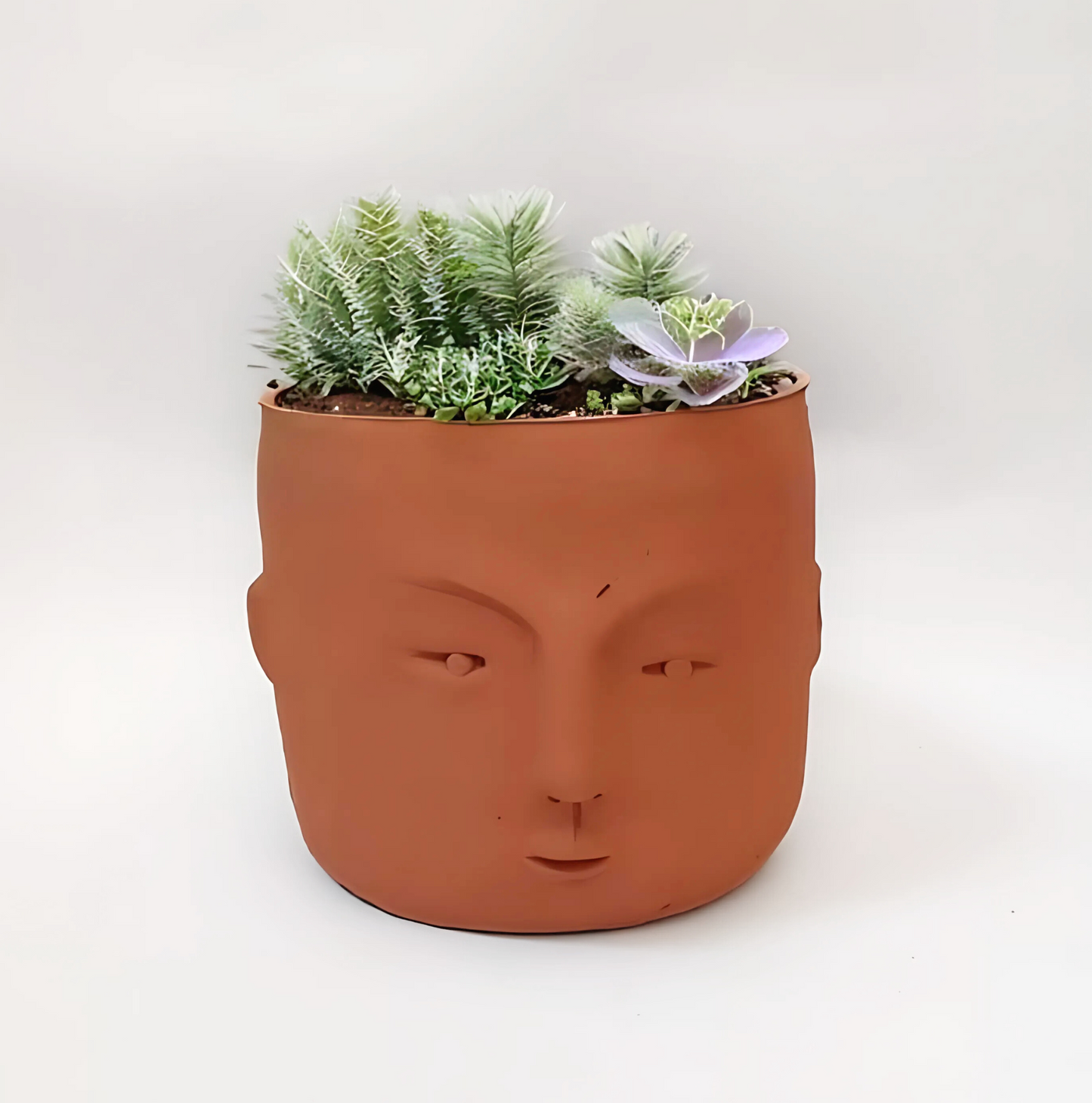 Face Shaped Pot