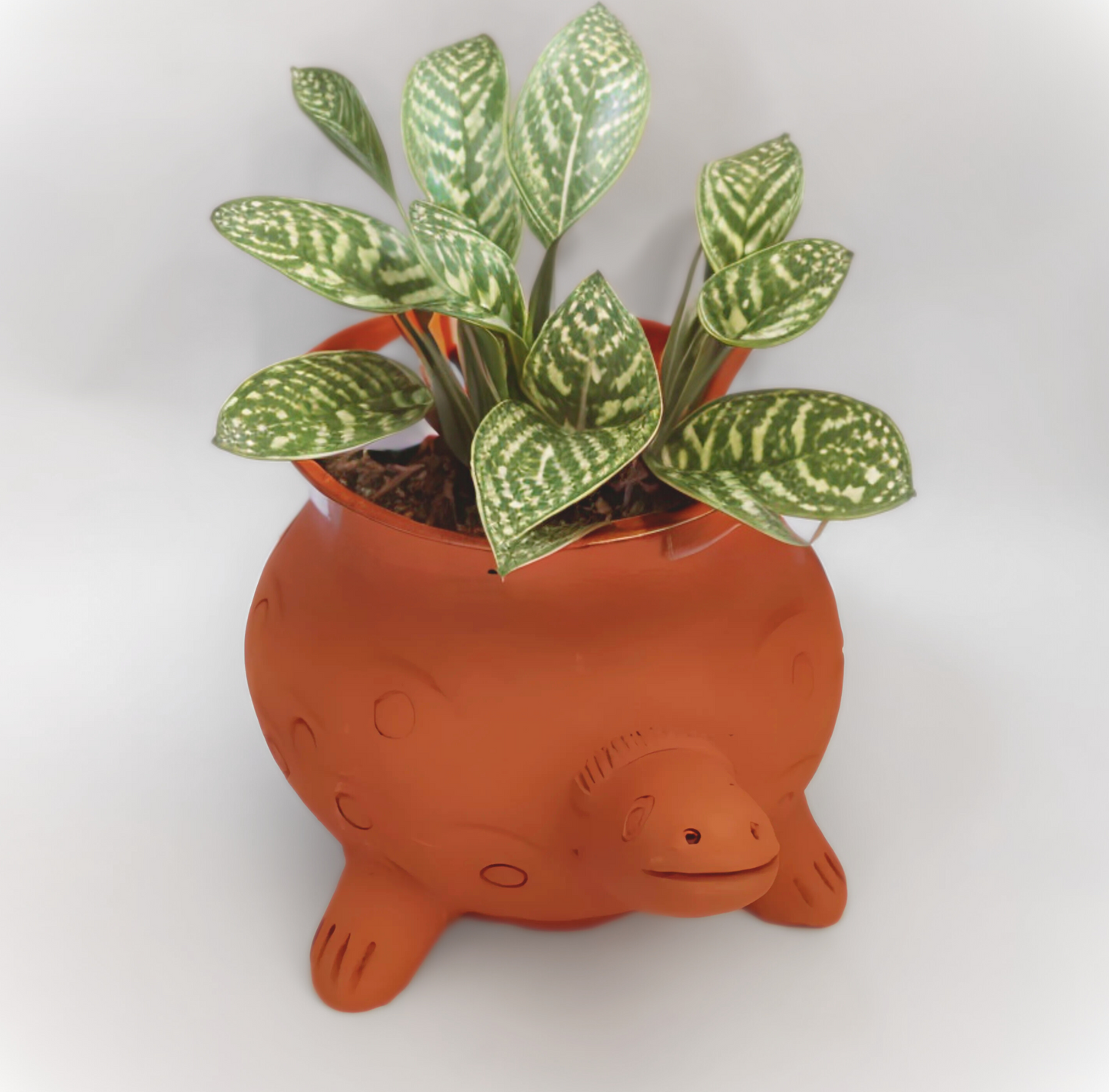 Turtle pot