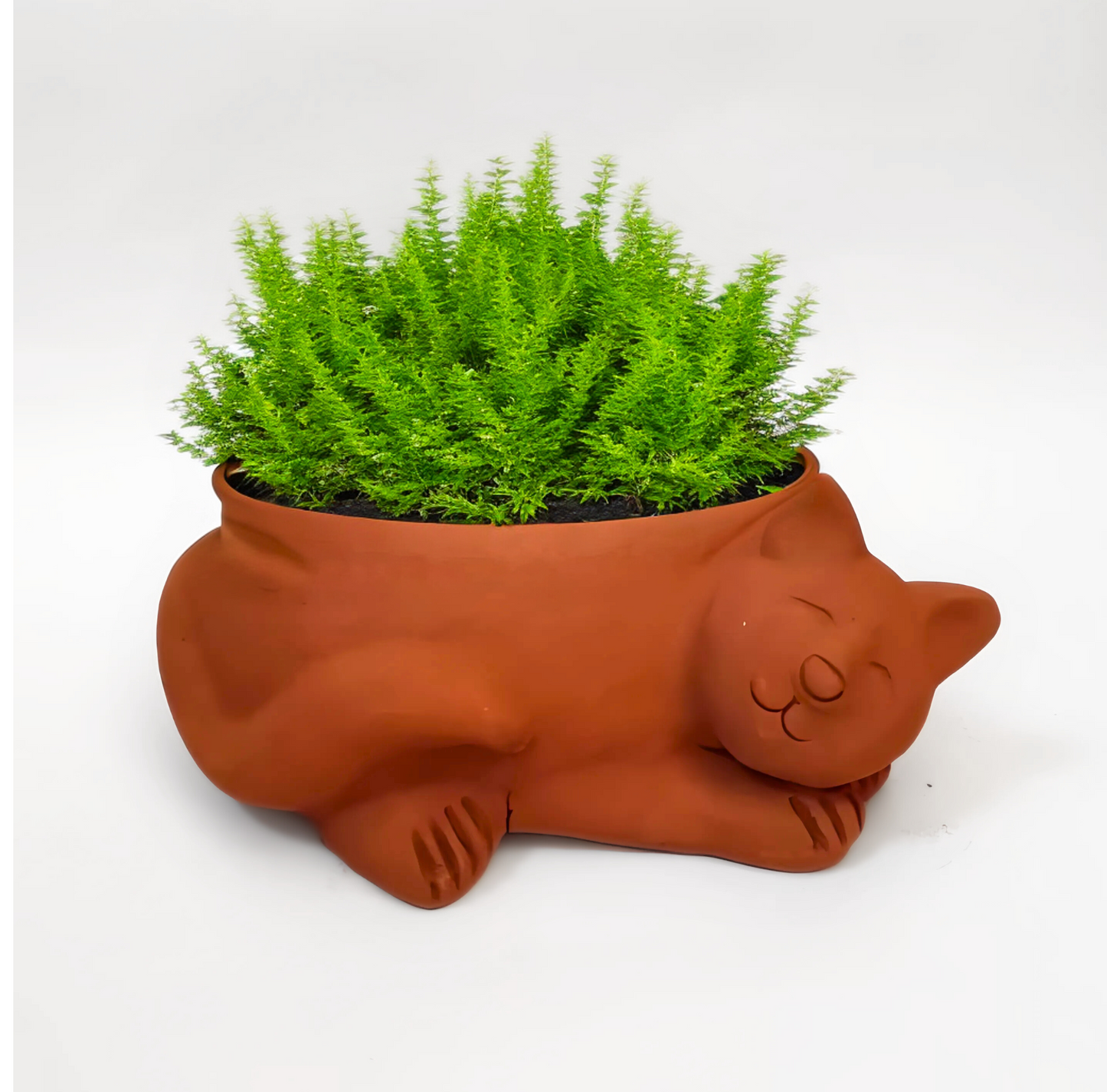 Sleeping cat planter