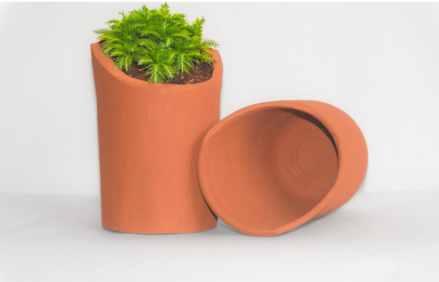 Vase like pot
